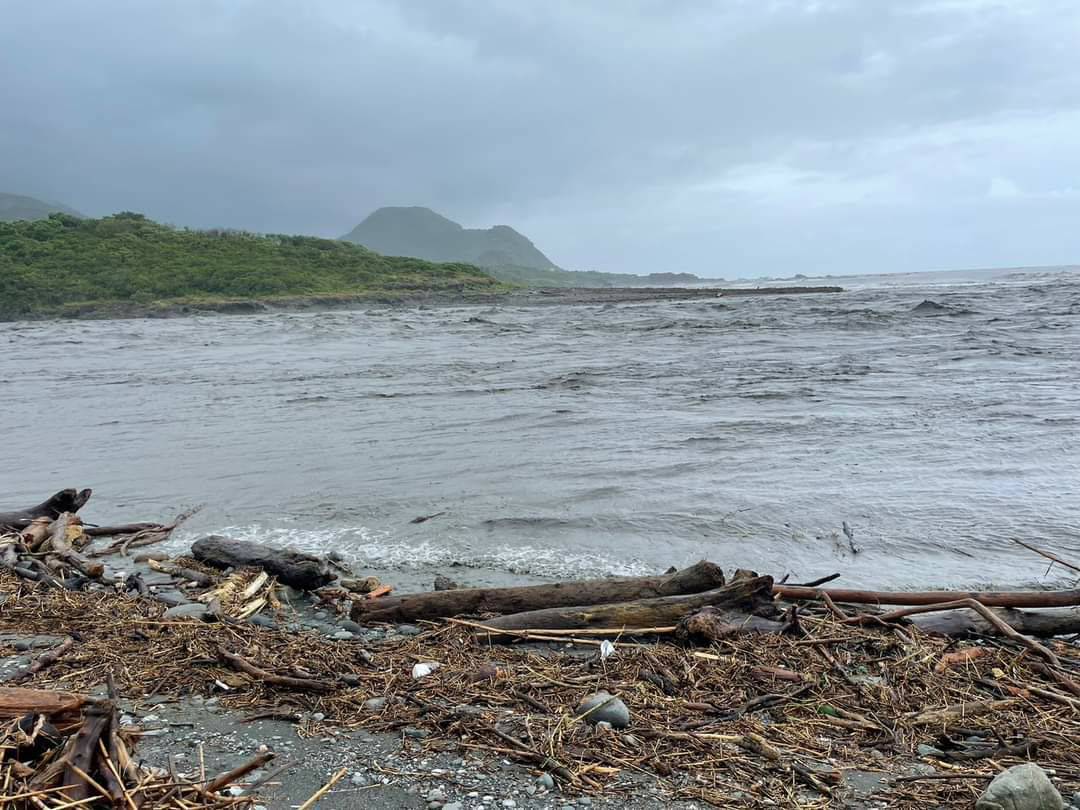 海葵強風豪雨產生漂流木  花蓮分署提醒 👉尚未開放撿拾👈